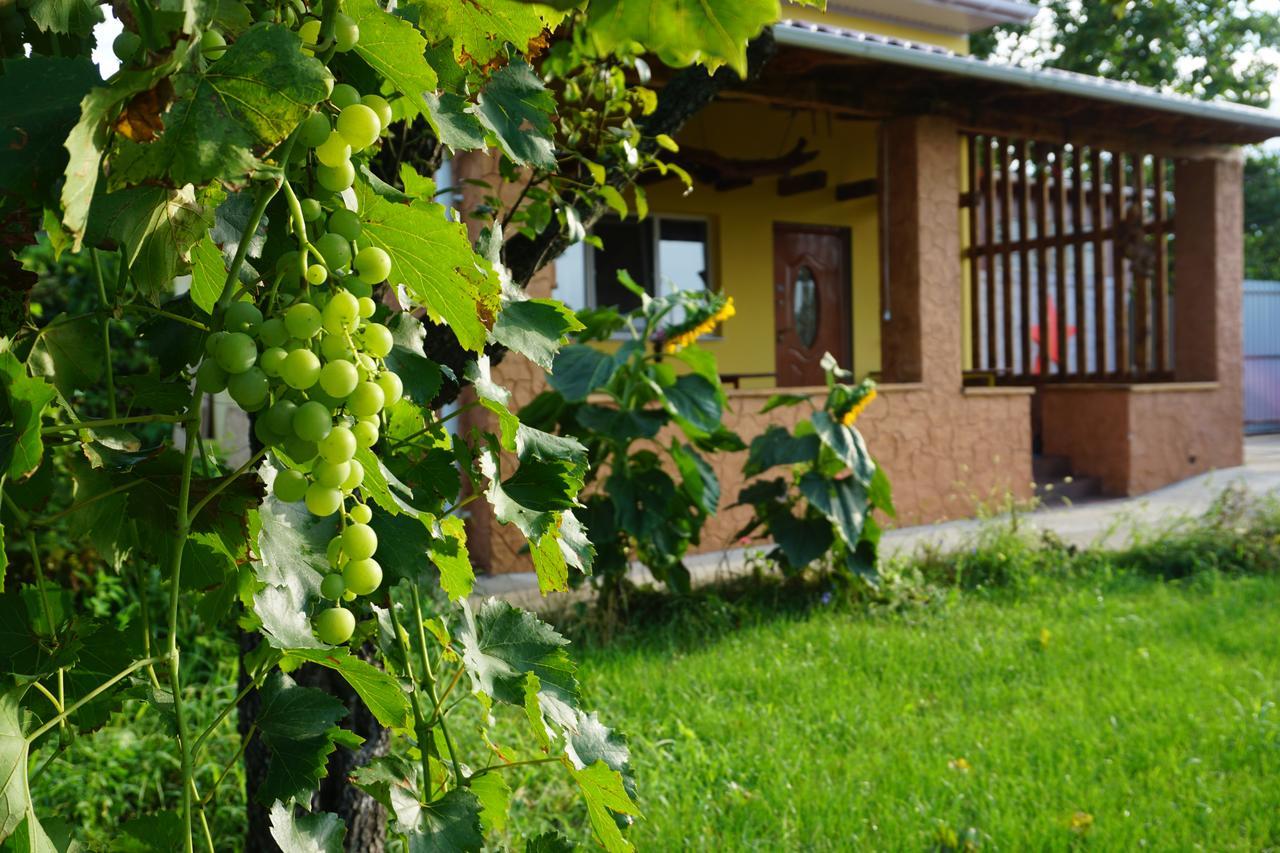 Red Star Guest House Tiraspol Exterior photo